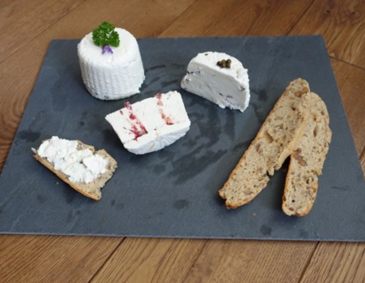 Herstellung von Käse auf Feta-Art Herstellung von Käse auf Feta-Art