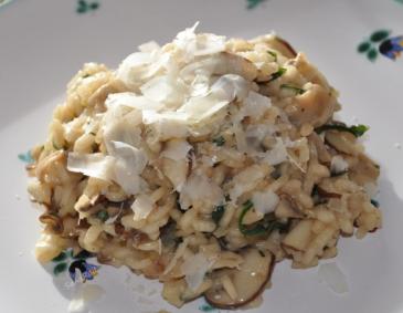 Risotto mit Champignons Risotto mit Champignons