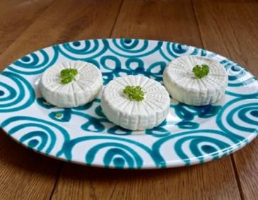 Käseherstellung-Joghurt-Topfen Käseherstellung-Joghurt-Topfen