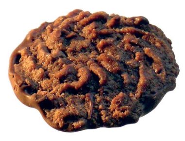 Moccataler