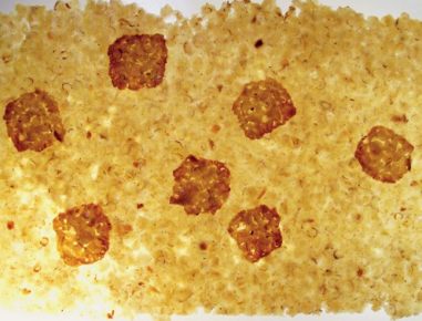 Mandelblättchen