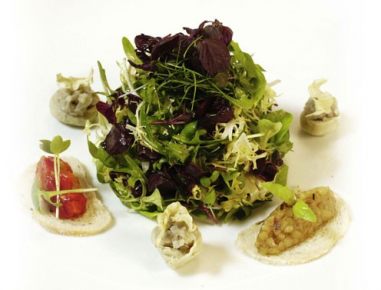 Sommerlicher Salat mit Crostini