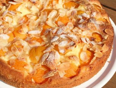 Ameisen-Marillenkuchen