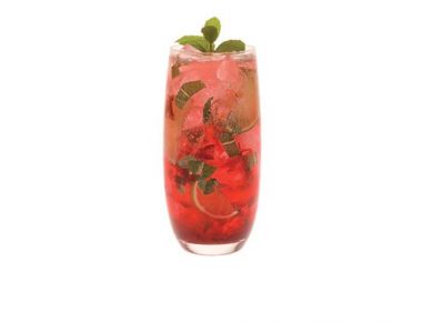 Hibiscus Mojito