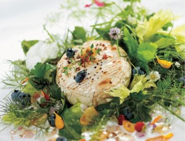 Kräutersalat mit gegrilltem Camembert