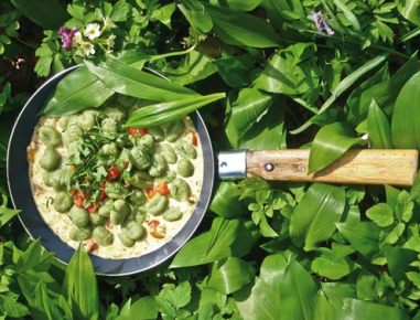 Bärlauchnocken in Weißweinsauce mit Pinienkernen