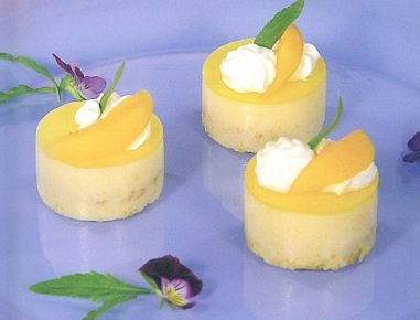 Marillen-Jogurt-Törtchen