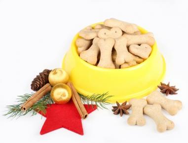 Hunde-Kuchen