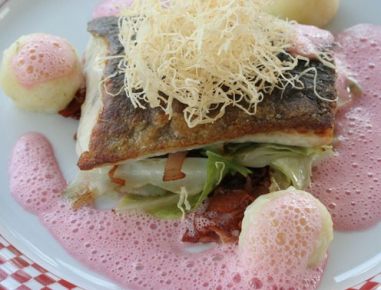Kümmelstör auf gebratenem Spitzkraut mit Erdäpfel- Topfenknödel an Roter Rübensauce