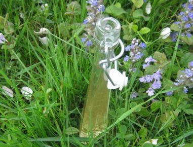 Holunderblütensaft nach Großmutters Art