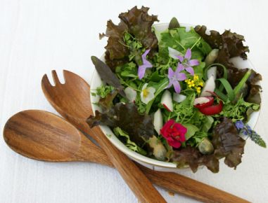 Frühlingssalat mit Haselnussmarinade