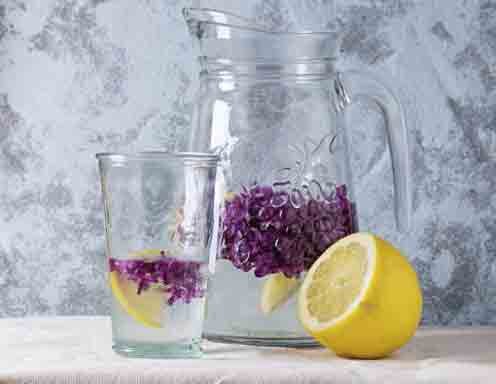 Fliederblütensirup Fliederblütensirup