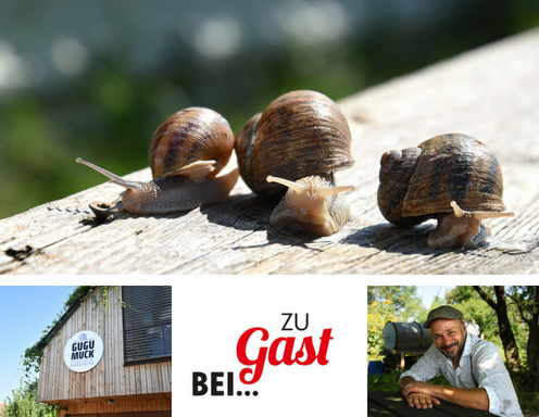 Zu Gast bei Gugumuck Zu Gast bei Gugumuck