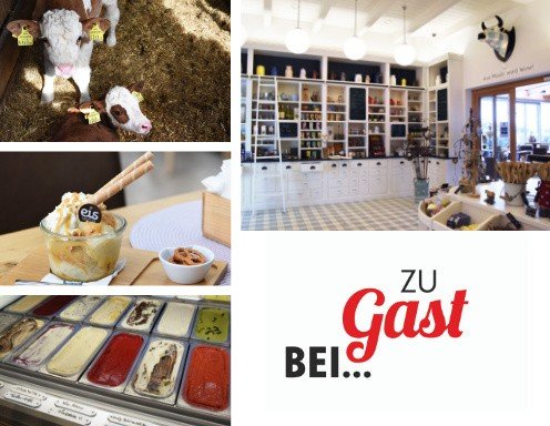 Zu Gast beim Eis Greissler Zu Gast beim Eis Greissler