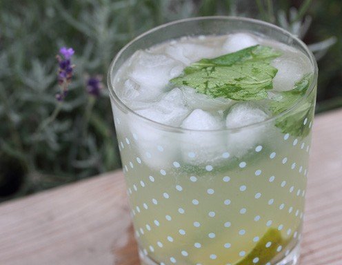 Mojito alkoholfrei zubereiten: So geht s