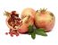 Granatapfel