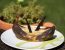 Gegrillte Marzipanbanane