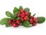 Cranberries