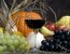 Kürbis und Wein - Herbstgenuss