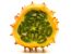 Kiwano aufgeschnitten