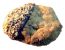 Nussgeistmürbchen