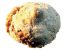 Amaretti