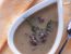 Köschtensupp'n (Kastaniensuppe)