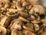 Hühnchen mit Champignons