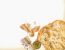 Knitterchips aus Strudelteig