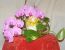 Valentinstagsfruchtbecher