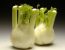 Fenchel