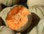 Zuckermelone