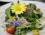 Blumensalat