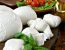Mozzarella  