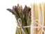 Weißer und grüner Spargel