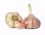 Knoblauch