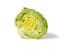 Eisbergsalat