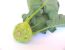 Kohlrabi