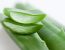 Kochen mit Aloe Vera