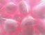 ZUckerwatte am Christkindlmarkt