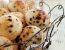 Mini-Krapfen mit Schokotropfen