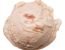 Rhabarbereis mit Stevia