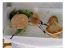 <p>Fois-gras-de-canard mit Zwiebelkonfit&uuml;re auf Salatbett mit Balsamicoessig</p>