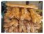 <p>Frische Baguettes am Markt von Libourne</p>