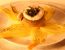 Saiblingsröllchen auf Safranfenchel aus dem Dampfgarer