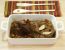 Sauerbraten