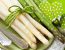 Spargel aus dem Dampfgarer