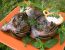 Gegrillte Artischocken