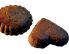 Schokoladelebkuchen
