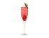 Wild Hibiscus Royale